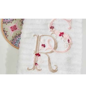 Machine à broder BROTHER INNOVIS V3 LE