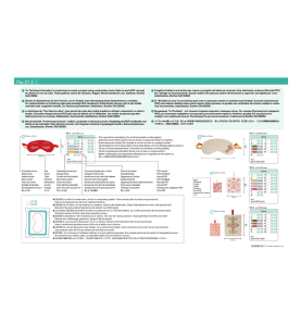 Clé usb BROTHER N° 15 Tout dans le cadre réf. BLECUSB15