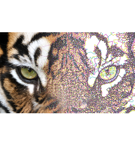 Logiciel de broderie BROTHER BE Embroidery Studio