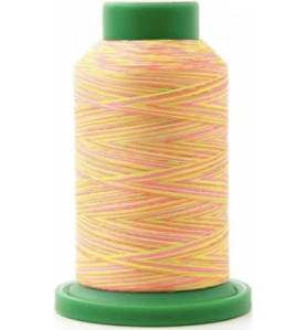 Cône 1000 m Isacord 40 multicouleur Neon Nights réf 2579/9914 fil à...