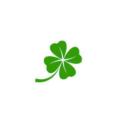 Cutter à boutonnière 12 MM CLOVER CL 484.W