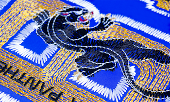 Brother BE Embroidery Studio